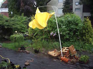 Windschirm