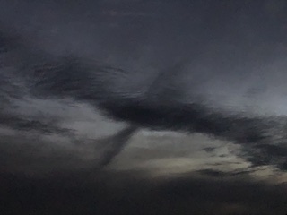 Wal am Himmel